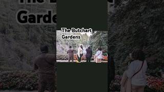 The Butchart Gardens butchartgardens youtubehighfive [upl. by Arraic]