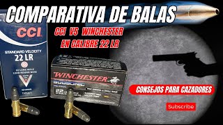 Comparando balas CCI contra Winchester en calibre 22 LR [upl. by Ahsit]