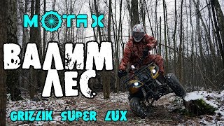 Подростковый квадроцикл motax grizlik super lux 125cc валим деревья в лесу [upl. by Elbertina]