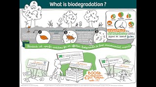 What is biodegradability [upl. by Conners]