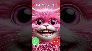 cat catcalling cuteecats funnycats global pinkcat catshorts cats [upl. by Ailemrac]