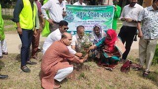 Tree plantation program in college campus [upl. by Nelleoj379]