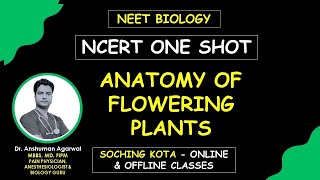 Anatomy of flowering plants one shot  NCERT line by line  NEET Biology Crash Course neet [upl. by Ripp]