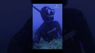 Hunt a salema fish🐟👌صيد سمكة الشلبة shortvideo viralvideo like explore viralshort explorepage [upl. by Mulford]