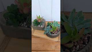 CREA TUS PROPIOS MINI JARDINES short diyprojects garden macetasdecemento diy [upl. by Roch783]