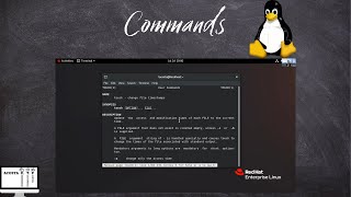 Commands  What Are The Different Parts Of A Command  How To Get Help In Linux [upl. by Rakabuba]