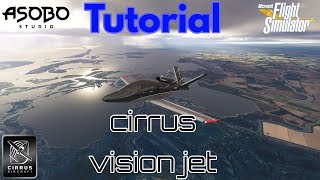 1di4 Tutorial Cirrus Vision Jet [upl. by Nicki651]