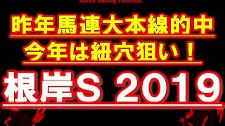 根岸ステークス2019 紐穴狙い 候補馬3頭！ [upl. by Norihs]