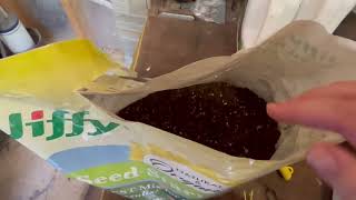 Honest Review of Jiffy Organic Seed Starter Mix [upl. by Ruffo]