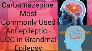 Carbamazepine Pharmacology Anticonvulsant Mechanism of action Uses and ADR CNS pharmacology [upl. by Turino799]