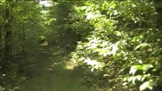 A Hike to Harper Falls in the Adirondacks [upl. by Hgielsa753]