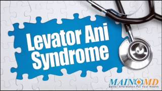 Levator Ani Syndrome ¦ Treatment and Symptoms [upl. by Koball881]