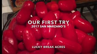 San Marzano Tomatoes [upl. by Loram]