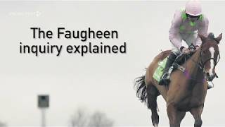 The Faugheen inquiry explained [upl. by Atilrep124]