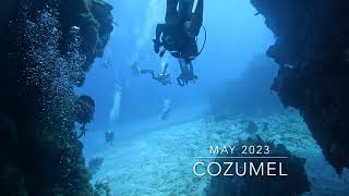 Scuba Diving Cozumel May 2023  FPose [upl. by Rusty]