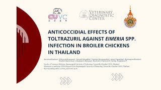 Anticoccidial effects of toltrazuril against eimeria spp infection in broiler chickensin thailand [upl. by Candyce]