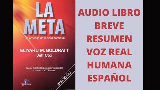 🏁LA META AUDIOLIBRO RESUMEN VOZ REAL HUMANA ESPAÑOL Eliyahu M Goldratt [upl. by Johnson]