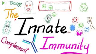 The Innate Immunity and the Complement System  Immunology [upl. by Ynaffik]