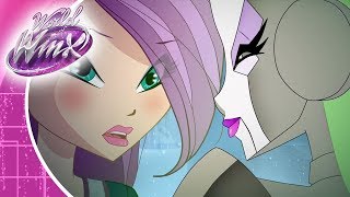 Winx Club  World Of Winx  Season 2 Ep9  A hero will come Clip [upl. by Hanschen148]