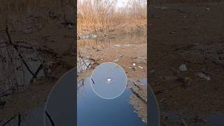 Float Fishing Videos  Carp Bite Winter Fishing Bite For Beginners Subscribe👍for more Videos [upl. by Etnaud]