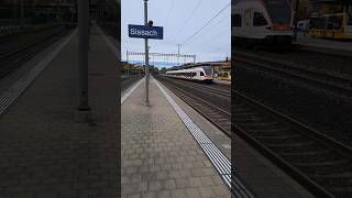 S3 nach Olten sbb cff ffs sbahn stadler trainspotting schweiz shorts yt [upl. by Tobie]