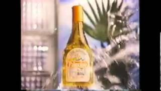 Palmolive Commercial 1980s [upl. by Miguel]