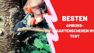 Die Besten Amboss Gartenscheren im Test  Top 5 [upl. by Thorlie]