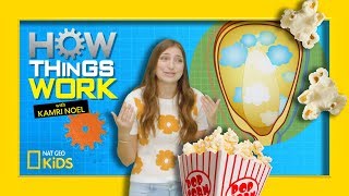 How Popcorn Works  How Things Work with Kamri Noel [upl. by Guinna]