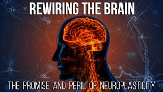 Rewiring the Brain The Promise and Peril of Neuroplasticity [upl. by Heisel]