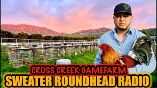 Sweater Roundhead Radio  CROSS CREEK GAMEFARM [upl. by Ahsemrac]