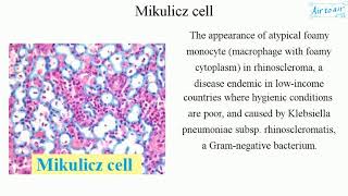 Mikulicz cell English  Medical terminology for medical students [upl. by Mortie]