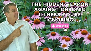 The Truth About Echinacea – Why Its More Powerful Than You Think [upl. by Jem]