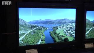 Sony to launch 17 and 25inch OLED monitors [upl. by Mendive335]