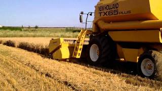 New Holland TX 65 Plus Sound [upl. by Olatha]