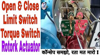 Rotork Actuator Limit Switch amp Torque switch Setting [upl. by Walther]