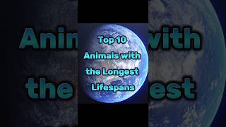 Top 10 Animals with the Longest Lifespans [upl. by Kahcztiy]