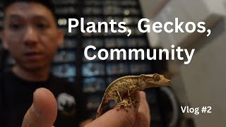 Plants Geckos Community  Vlog 2 [upl. by Anaehr]