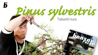 Bonsai Focus MASTERCLASS Takashi Iura [upl. by Htir]