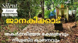 Janakikkad Ecotourism Centerകോഴിക്കോടിന്റെ വന സൗന്ദര്യത്തിലേക്കു ഒരു യാത്രMust visit Place Calicut [upl. by Tormoria412]