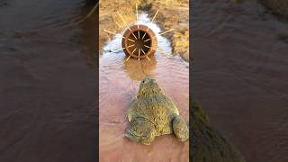 Survival Skills Simple and Useful with Clay Frog Trap survival bushcraft camping shrots [upl. by Asena188]