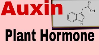 Plants HormoneAuxin HormoneFor TGTPGTNEETBScMScClass 12th and10th and other exam [upl. by Croft637]