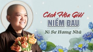 PHÁP THOẠI  Cách Để HÓA GIẢI NIỀM ĐAU  Ni Sư HƯƠNG NHŨ Thuyết Giảng [upl. by Tterej]