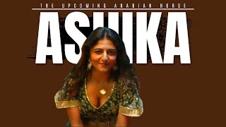 Ashika Ashokan Hot Hot DanceCleavage showHot boob BouncingAshika Latest hot [upl. by Scotti]