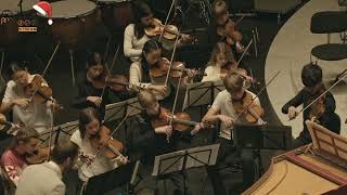 J S Bach  Double Concerto in C Moll BWV 1060R [upl. by Imelida]