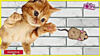 Games para gatos  Jogo para Gato brincar  RATO 🐀  vídeo para gatos de Ratones para jugar [upl. by Inavoy]