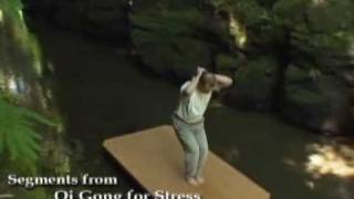 Qi Gong for Stress with Lee Holden [upl. by Mcgruter]