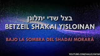 Yosheiv  יושב  El que habita  Tehilim  Salmos 91  Canta Mendy Wald  מנדי וולד [upl. by Brooking]