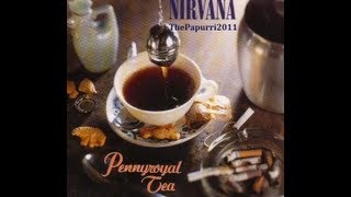 Nirvana  Pennyroyal Tea Subtítulos y lyrics [upl. by Timmons]