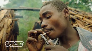 The Congolese Tribes Selling Weed to Survive  WEEDIQUETTE [upl. by Cornwell]