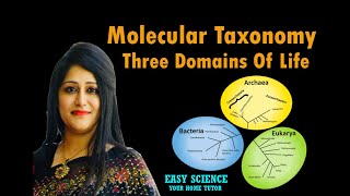 Molecular Taxonomy  Three Domains Of Life  Archaea  Bacteria  Eukarya  Biology [upl. by Deeraf540]